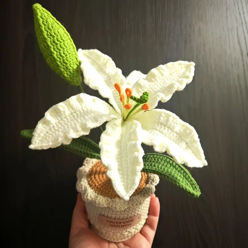 Crocheted white lily flower with green leaves in a handmade knitted pot