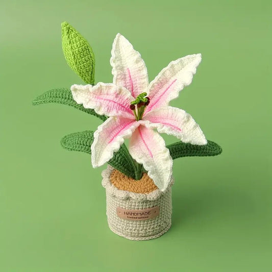 Crocheted lily flower with pink and white petals in a handmade pot on green background
