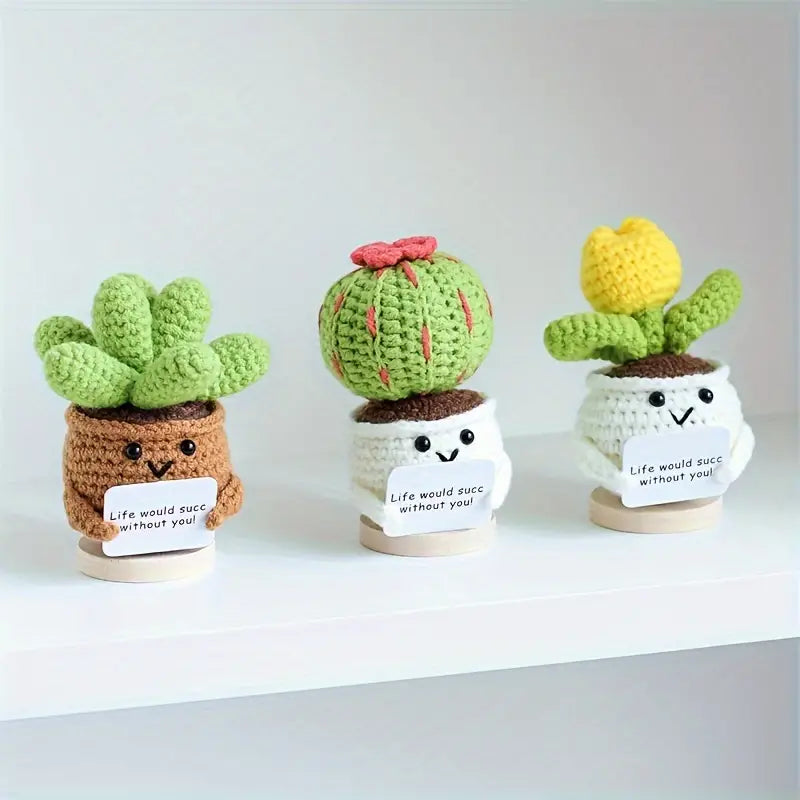 Crochet Positive Cactus, Succulent & Tulip Flower Pot