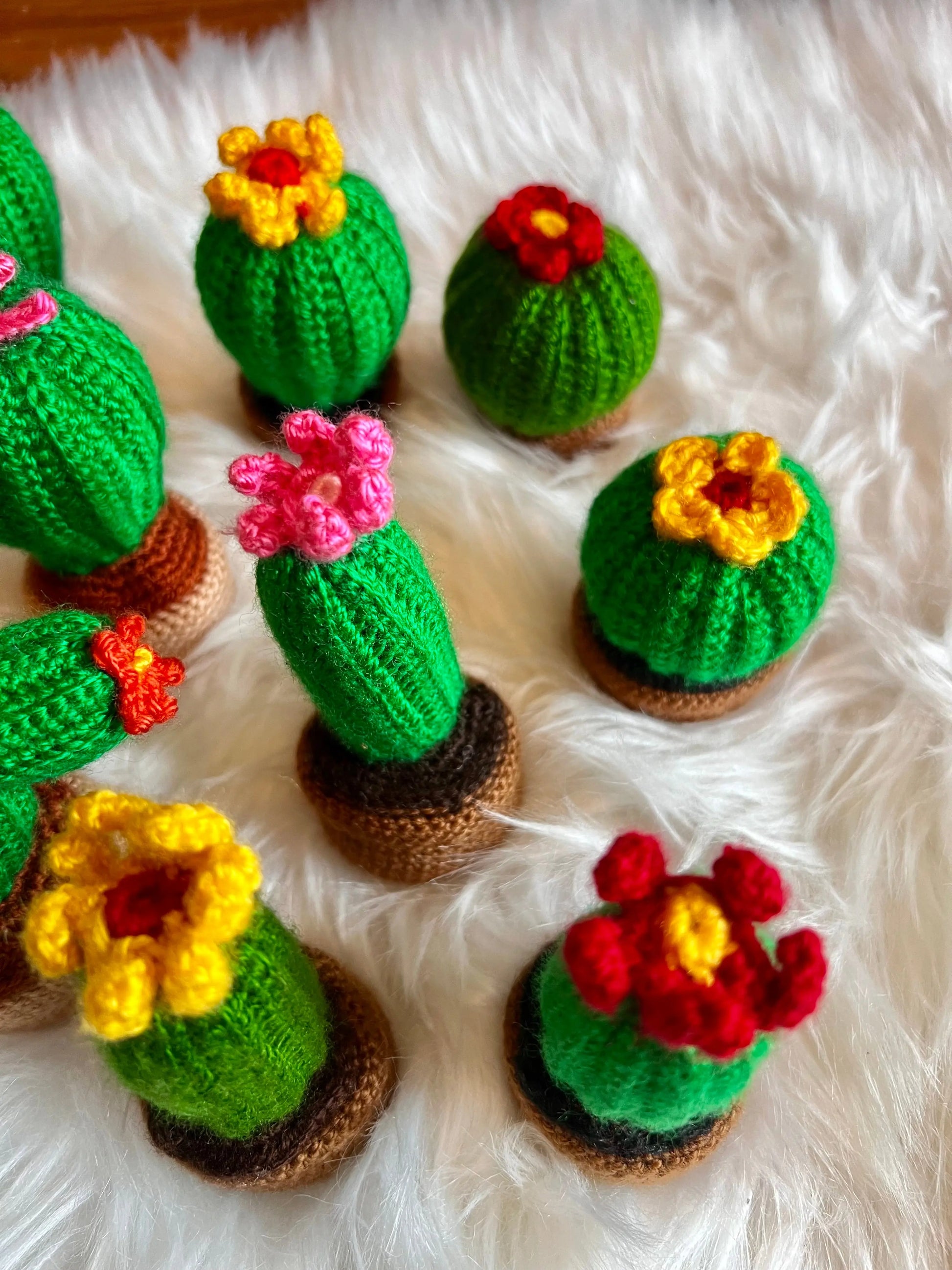 Handmade Crochet Decorative Cactus Succulents - Joy Gift London