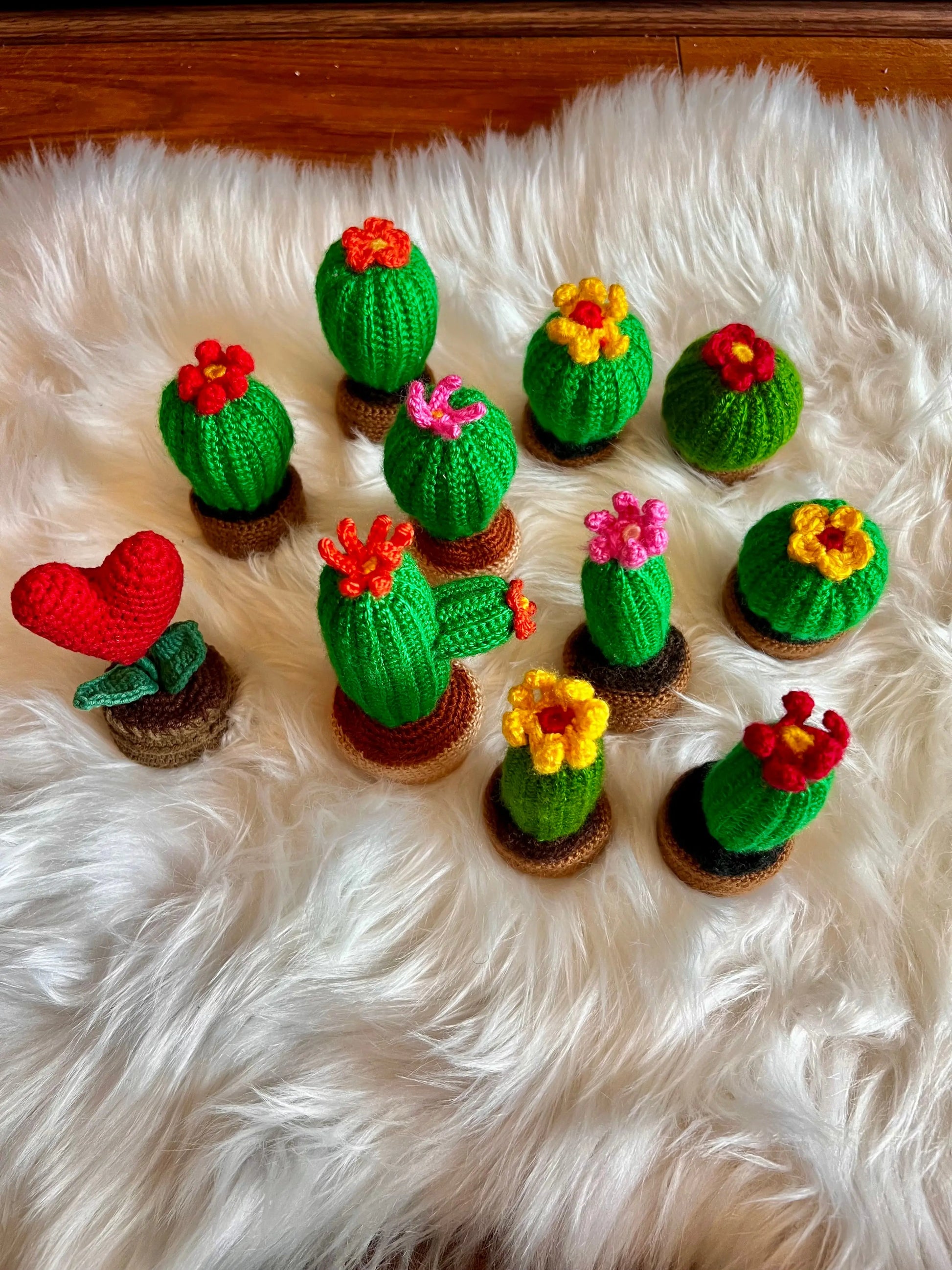 Handmade Crochet Decorative Cactus Succulents - Joy Gift London