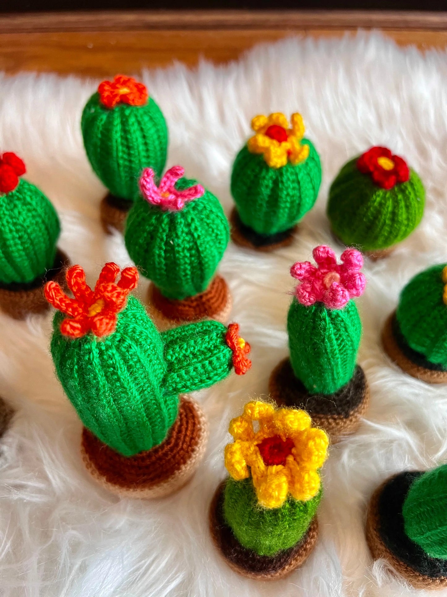 Handmade Crochet Decorative Cactus Succulents - Joy Gift London