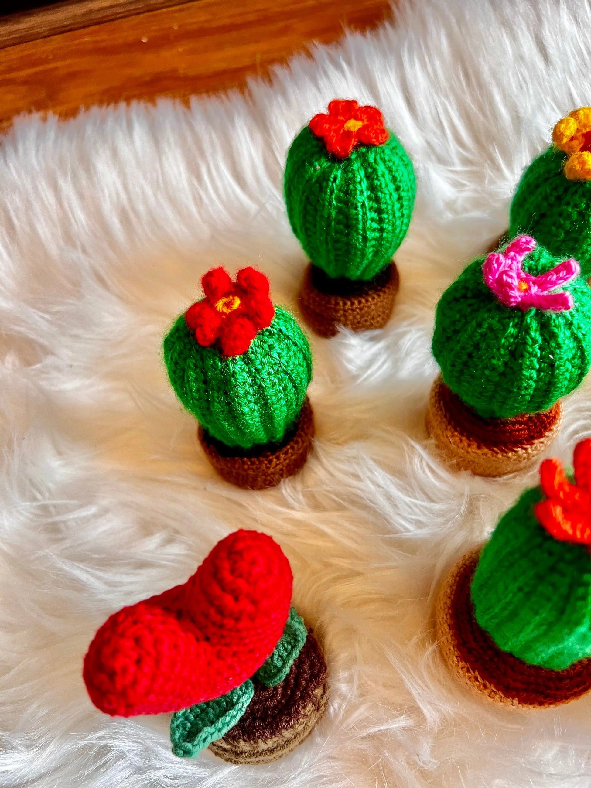 Handmade Crochet Decorative Cactus Succulents - Joy Gift London