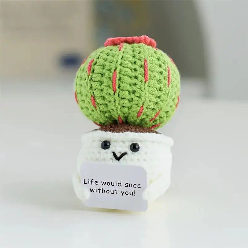 Crochet Positive Cactus, Succulent & Tulip Flower Pot Joy Gift London