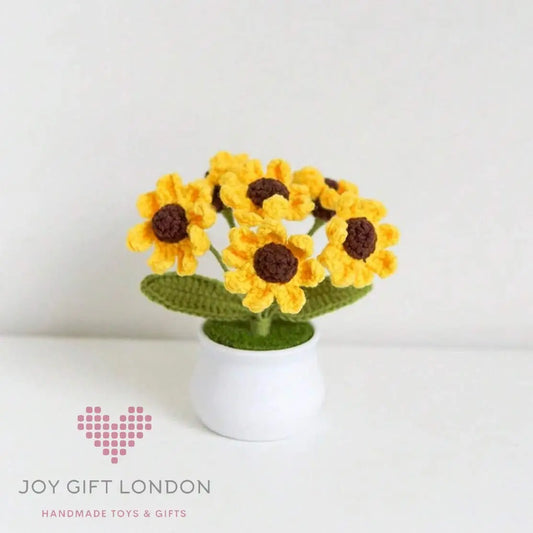 Handmade Crochet Potted 5 Daisy 🌼 Joy Gift London