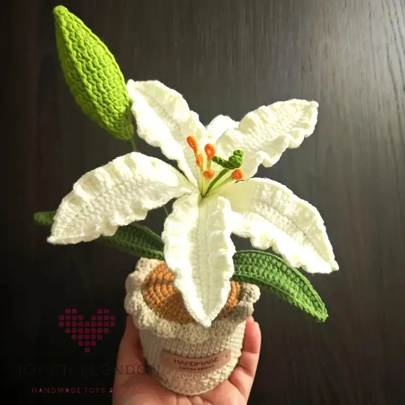 Handmade Crochet Potted Lily Joy Gift London