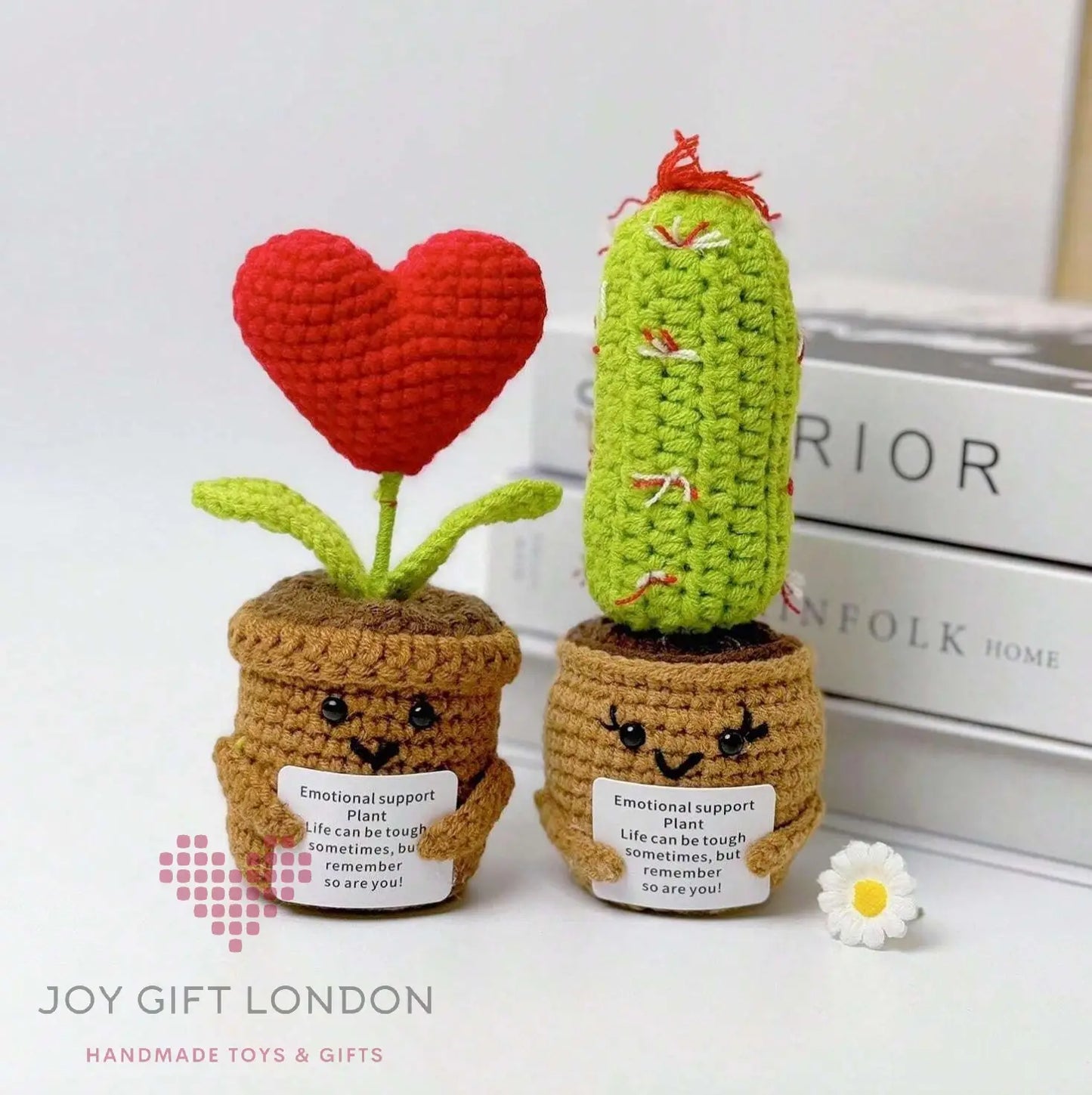 Handmade Emotional Support Plant With Red Heart and Cactus Joy Gift London