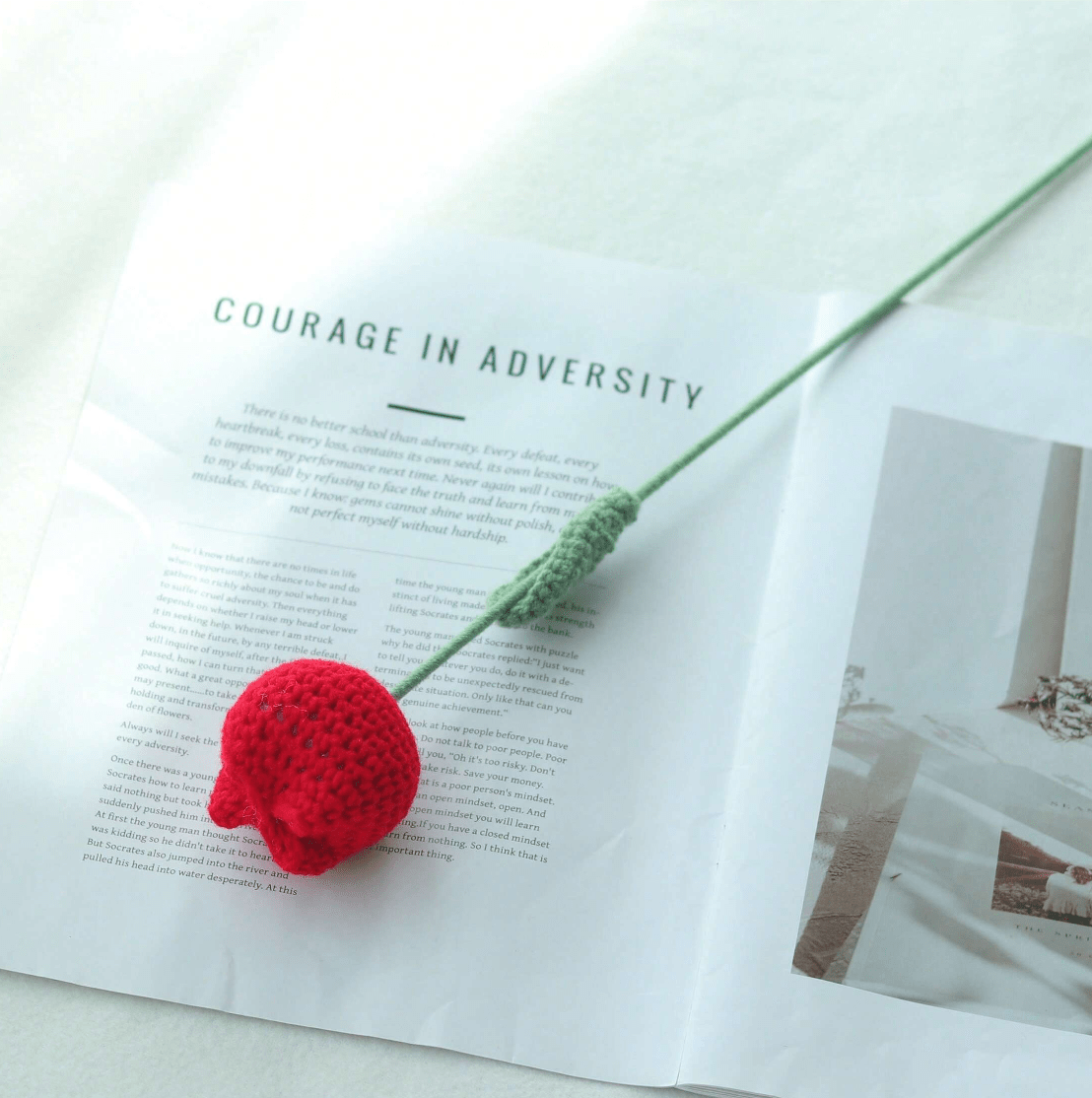 Red crocheted ball resting on "Courage in Adversity" text with green stem