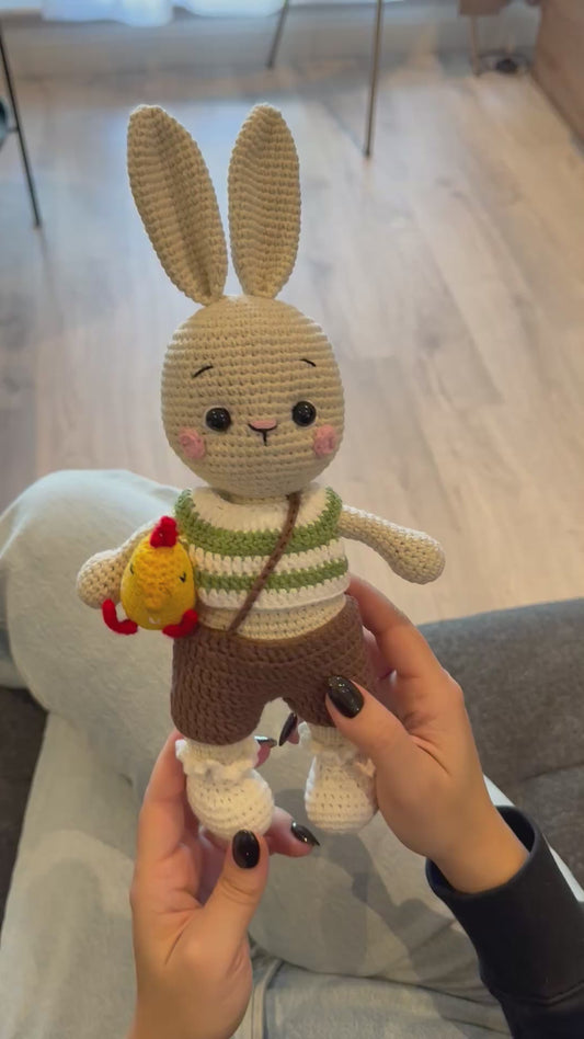 Crochet Cute Rabbit Boy Toy with his small Chick