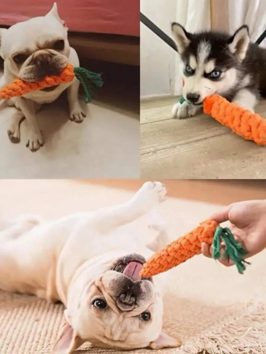 Carrot Design Pet Chew Toy Joy Gift London