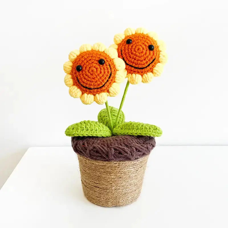 Crochet Smiley Sunflower | Accessories, amigurumi cactus, Cactus, Crochet cactus, crochet plants, crochet Succulent, Kids Room Decoration, Succulent | Joy Gift London Limited