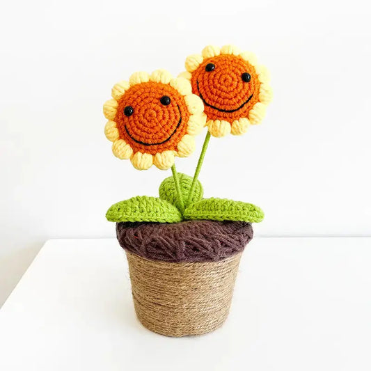 Crochet Smiley Sunflower | Accessories, amigurumi cactus, Cactus, Crochet cactus, crochet plants, crochet Succulent, Kids Room Decoration, Succulent | Joy Gift London Limited