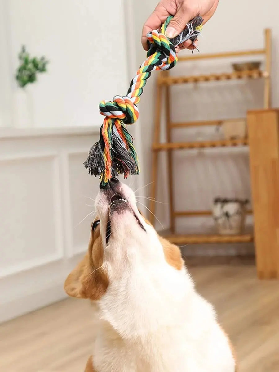 Knot Design Random Pet Chew Toy SHEIN 