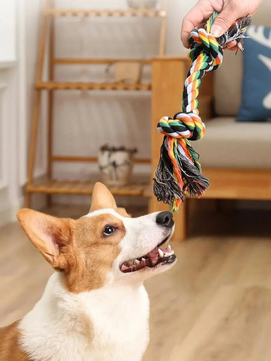 Knot Design Random Pet Chew Toy | dog toys, Pet Supplies | SHEIN