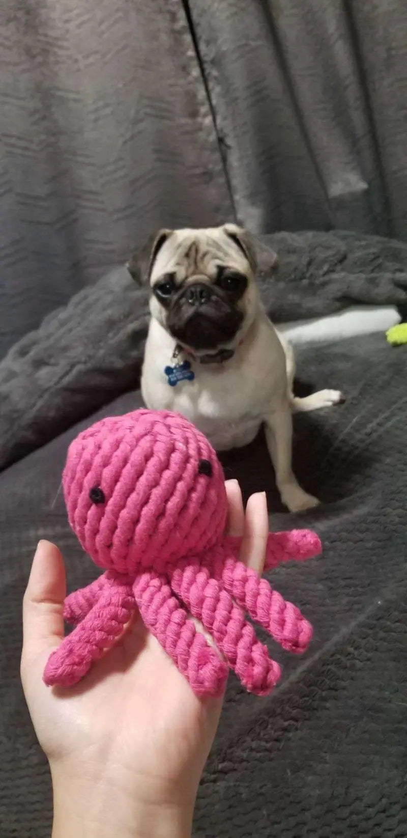 Octopus Shaped Dog Toy SHEIN 